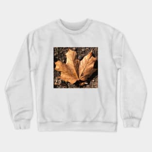 Orange leaf Crewneck Sweatshirt